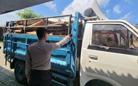 Truk Kayu Diamankan, Polisi Dalami Kasus Pembalakan
